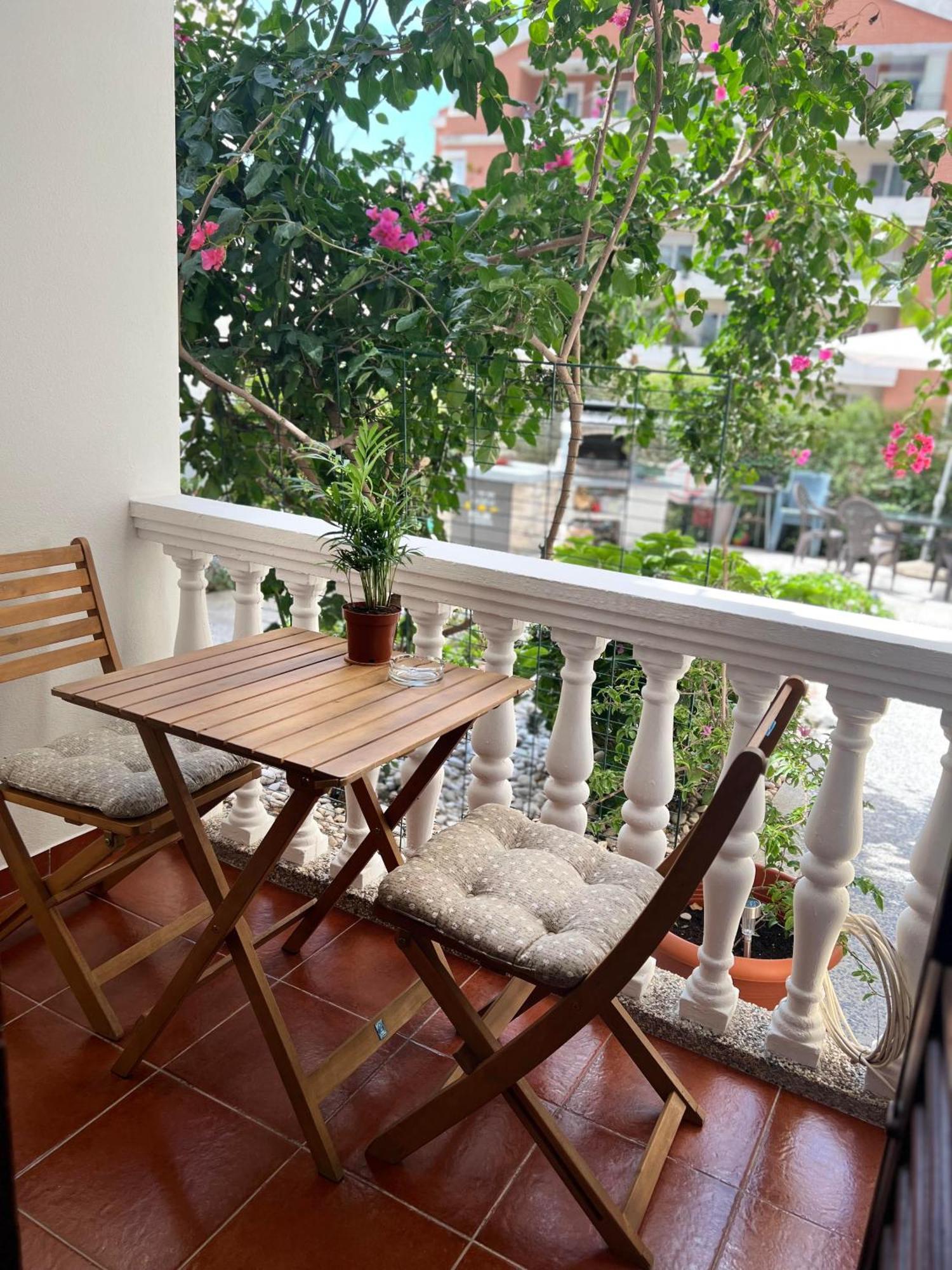 Villa Dionis Budva Dış mekan fotoğraf